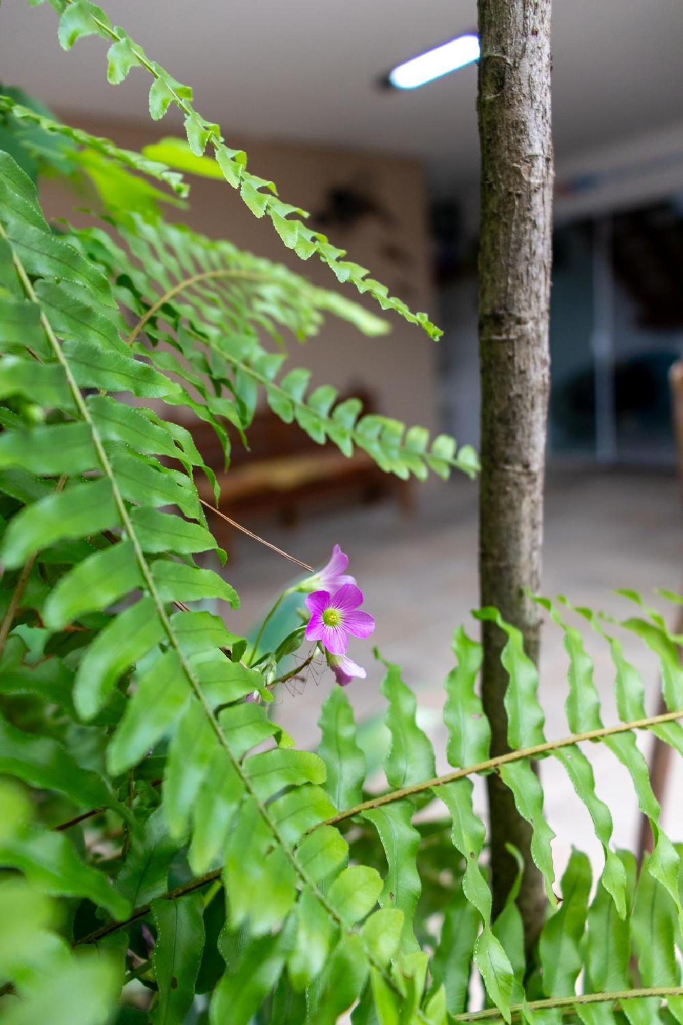 Suites Margarida Ubatuba Dış mekan fotoğraf